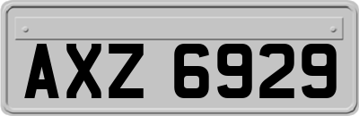 AXZ6929