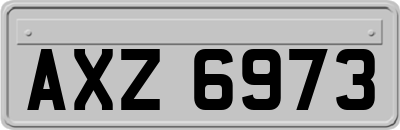 AXZ6973