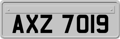 AXZ7019