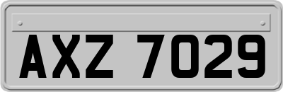 AXZ7029