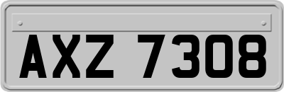 AXZ7308