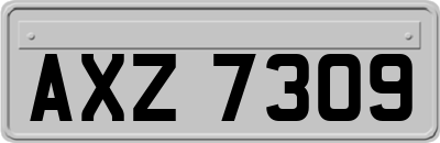 AXZ7309