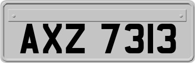 AXZ7313