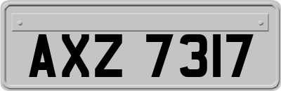 AXZ7317