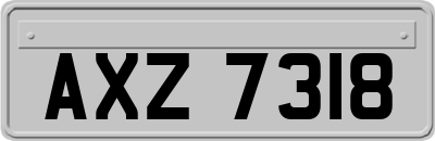 AXZ7318