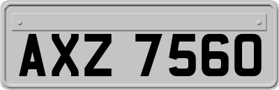 AXZ7560