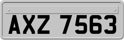AXZ7563
