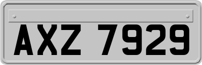 AXZ7929