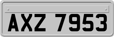 AXZ7953