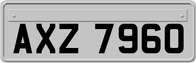 AXZ7960