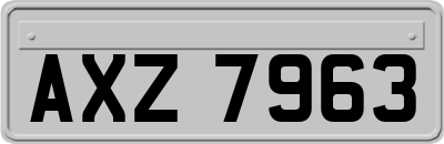 AXZ7963