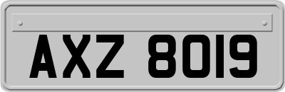 AXZ8019