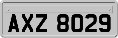 AXZ8029