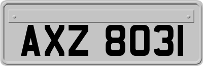AXZ8031