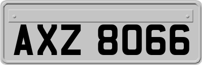 AXZ8066