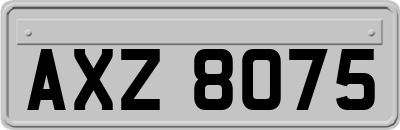 AXZ8075