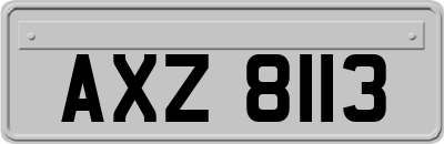 AXZ8113