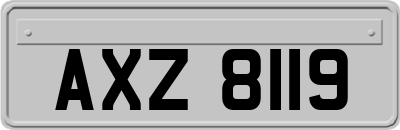AXZ8119