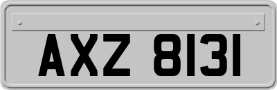 AXZ8131