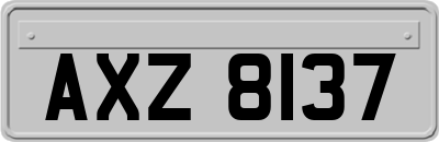 AXZ8137