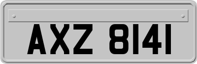 AXZ8141