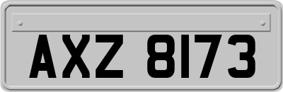 AXZ8173