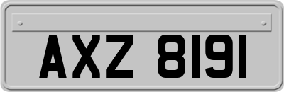 AXZ8191