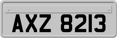 AXZ8213