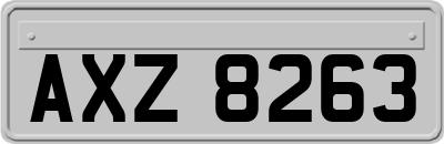 AXZ8263