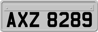 AXZ8289