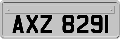 AXZ8291