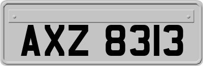 AXZ8313