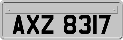 AXZ8317