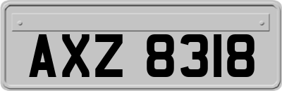AXZ8318