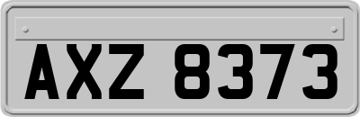 AXZ8373