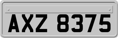 AXZ8375