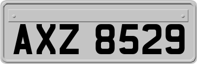 AXZ8529