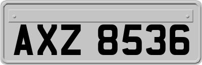 AXZ8536