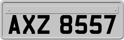 AXZ8557