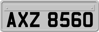 AXZ8560