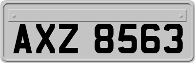 AXZ8563