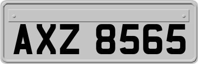 AXZ8565