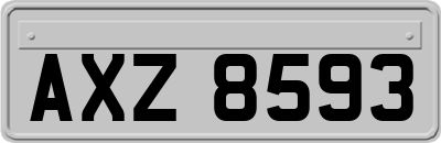 AXZ8593
