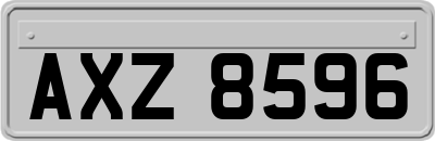 AXZ8596