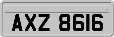 AXZ8616