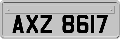 AXZ8617