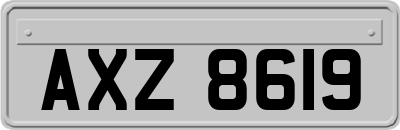 AXZ8619