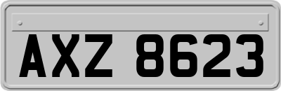 AXZ8623