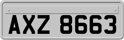 AXZ8663