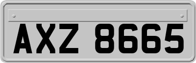 AXZ8665